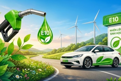 Xăng E10 chính thức triển khai toàn quốc: Bước chuyển lớn cho an ninh năng lượng và hành trình xanh hóa giao thông