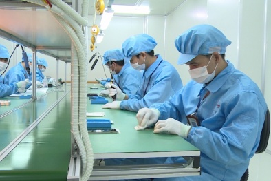TCVN 12288:2025 thống nhất các thuật ngữ sử dụng trong quản lý nguồn nhân lực