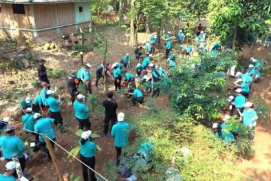 Vingroup kết nối gần 22.000 người tại 4 nước Đông Nam Á chung tay vì tương lai xanh bền vững