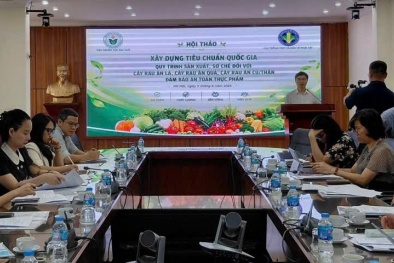 Xây dựng tiêu chuẩn quốc gia cho rau an toàn: Hướng tới giảm chi phí tuân thủ, dễ áp dụng và minh bạch hơn