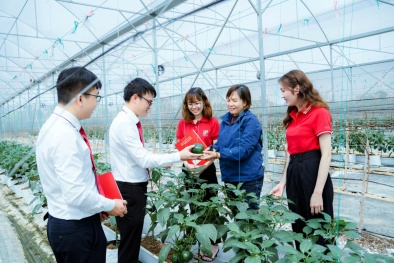 Hỗ trợ tối đa 80% chi phí cho doanh nghiệp nhỏ và vừa nâng cao năng suất, chất lượng sản phẩm