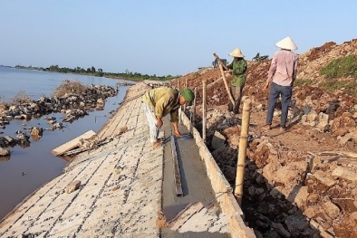TCVN 9165:2025: Chuẩn hóa kỹ thuật đắp đê trong bối cảnh rủi ro thiên tai gia tăng