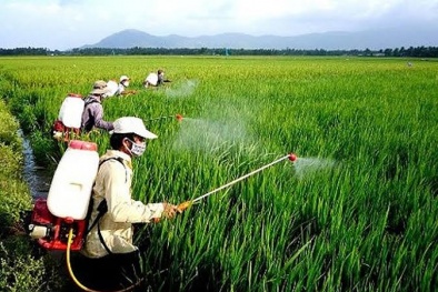 Khi thuốc bảo vệ thực vật sinh học cần một 'hàng rào' chất lượng