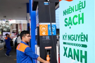 Chính phủ thí điểm một số chính sách trong triển khai lộ trình sử dụng xăng E10