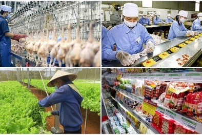 TCVN ISO 22003-1:2025 tạo nền tảng cho hoạt động chứng nhận an toàn thực phẩm minh bạch, hiệu quả
