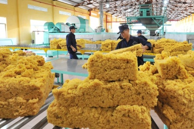 Năng suất ngành cao su và bài toán mở rộng thị trường xuất khẩu 