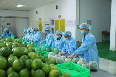 Từ tiêu chuẩn đến thị trường quốc tế: Hành trình nâng cao chất lượng hàng hóa
