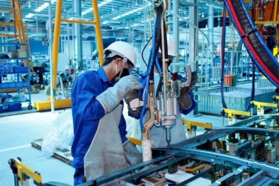 Chuẩn hóa công việc: Nền tảng của năng suất bền vững
