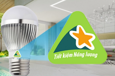 Dán nhãn năng lượng thúc đẩy đổi mới công nghệ, nâng cao chất lượng hiệu quả