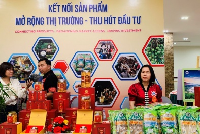 Nâng chuẩn OCOP để gia tăng chất lượng và sức cạnh tranh sản phẩm