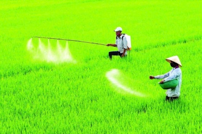 Ban hành Danh mục thuốc bảo vệ thực vật được phép và cấm sử dụng tại Việt Nam