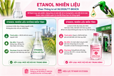 Etanol nhiên liệu được áp dụng cơ chế quản lý hàng hóa rủi ro trung bình