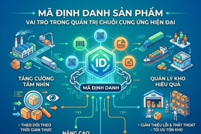 Mã định danh sản phẩm và vai trò trong quản trị chuỗi cung ứng hiện đại