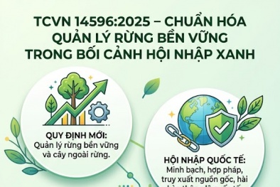 TCVN 14596:2025: Nâng chuẩn quản lý rừng trong chuỗi cung ứng xanh