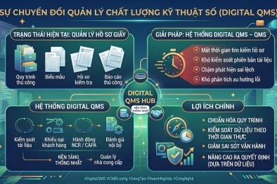 Digital QMS: Xu hướng quản lý chất lượng không giấy tờ trong doanh nghiệp hiện đại