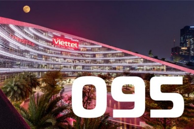 Viettel đấu giá thành công quyền sử dụng mã mạng viễn thông di động đầu số 095
