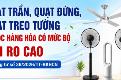 Quạt trần, quạt đứng, quạt treo tường thuộc nhóm hàng hóa rủi ro cao, phải đáp ứng QCVN