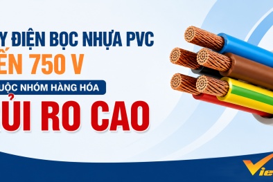 Dây điện bọc nhựa PVC đến 750 V là hàng hóa bắt buộc phải công bố hợp quy