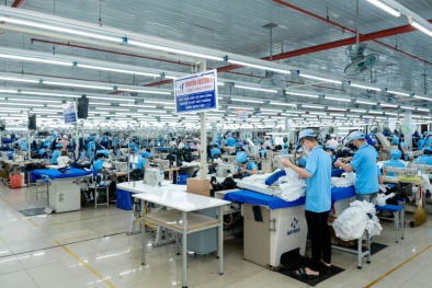 Doanh nghiệp Đà Nẵng đổi mới công nghệ, nâng cao năng suất và chất lượng sản phẩm