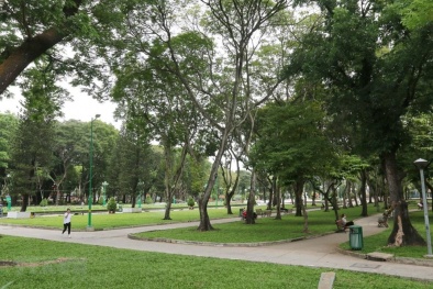 Cần thiết ban hành quy chuẩn kỹ thuật quốc gia về công viên, cây xanh