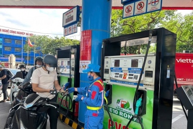Công bố hợp quy được thực hiện theo những nguyên tắc nào?