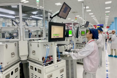 Hải Phòng triển khai Chiến lược Tiêu chuẩn quốc gia giai đoạn 2026 - 2035