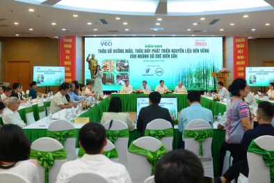 Ngành gỗ: Chuyển đổi mô hình trồng gỗ lớn chất lượng cao để phát triển bền vững