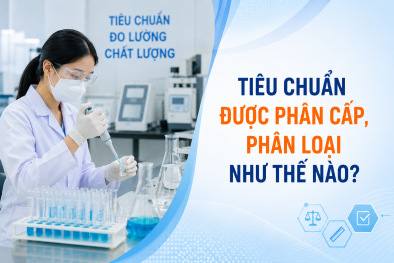Tiêu chuẩn được phân cấp, phân loại như thế nào?