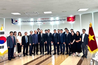 Việt Nam trao đổi kinh nghiệm phát triển nguồn nhân lực và hệ thống đo lường quốc gia với Hàn Quốc