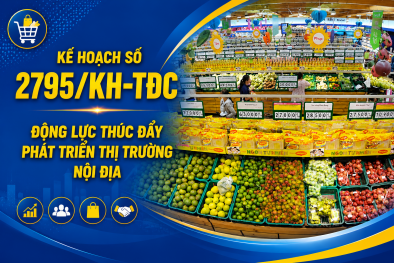 Kế hoạch số 2795/KH-TĐC: Động lực thúc đẩy phát triển thị trường nội địa