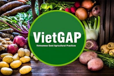TCVN 11892-1:2026 về trồng trọt theo hướng thực hành nông nghiệp tốt