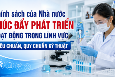 Chính sách của Nhà nước thúc đẩy phát triển hoạt động tiêu chuẩn, quy chuẩn kỹ thuật