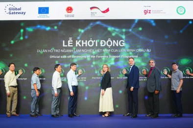 Liên minh châu Âu hỗ trợ 20 triệu Euro cho ngành Lâm nghiệp quản lý rừng bền vững
