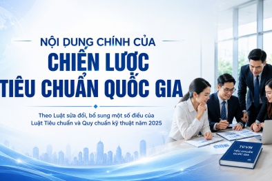 Chiến lược tiêu chuẩn quốc gia: Công cụ định hướng tổng thể, dài hạn cho hoạt động tiêu chuẩn