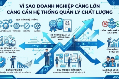 Vì sao doanh nghiệp càng lớn càng cần hệ thống quản lý chất lượng?