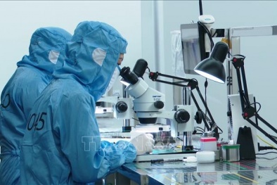 Định hình tư duy năng suất mới để bứt phá