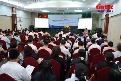 Hỗ trợ pháp lý cho doanh nghiệp trong lĩnh vực tiêu chuẩn, đo lường, chất lượng và an toàn bức xạ