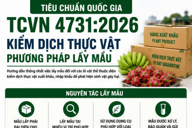 TCVN 4731:2026 hướng dẫn kiểm dịch thực vật, phát hiện sớm sinh vật gây hại nông sản