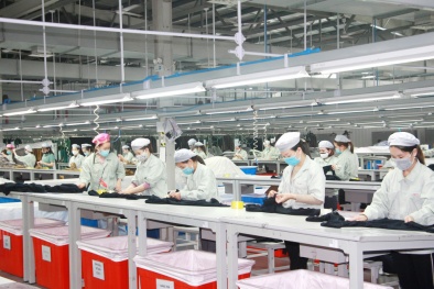 Phát huy vai trò của tiêu chuẩn, nâng cao năng lực cạnh tranh doanh nghiệp