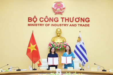 Việt Nam - Uruguay: Dư địa để phát triển thương mại song phương rất lớn