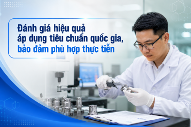 Đánh giá hiệu quả áp dụng tiêu chuẩn quốc gia, bảo đảm phù hợp thực tiễn