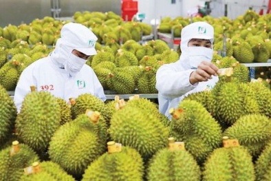 158.234 sản phẩm đã cập nhập vào hệ thống truy xuất nguồn gốc nông sản