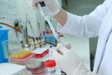 Điều kiện kinh doanh dịch vụ giám định: Yêu cầu chặt chẽ về tổ chức và nhân sự