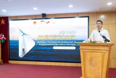 Trung tâm Năng lượng tái tạo - Thúc đẩy phát triển công nghiệp và quá trình chuyển dịch năng lượng