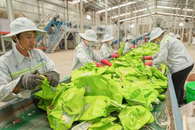 Chuyển đổi xanh - động lực nâng cao năng suất doanh nghiệp