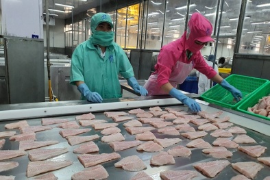Khoa học công nghệ thúc đẩy năng suất, chất lượng vùng Đồng bằng sông Cửu Long