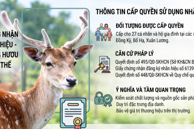 Bắc Ninh cấp quyền sử dụng nhãn hiệu chứng nhận 'Nhung hươu Yên Thế' để kiểm soát chất lượng