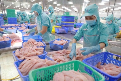 Singapore cảnh báo các doanh nghiệp xuất khẩu hàng hóa cần khai báo đúng