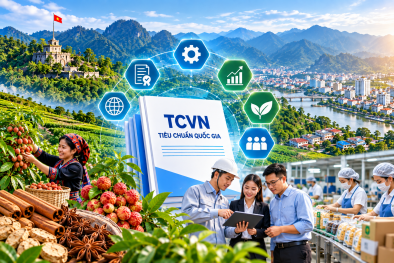Lạng Sơn hỗ trợ doanh nghiệp tiếp cận và áp dụng tiêu chuẩn quốc gia