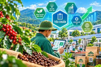 Đắk Lắk hướng tới hệ sinh thái tiêu chuẩn hóa hỗ trợ đổi mới sáng tạo
